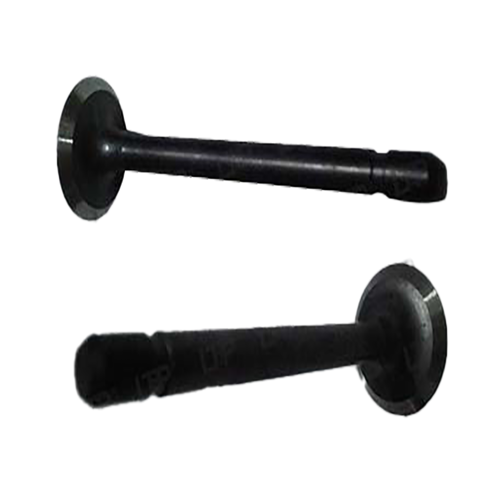 Exhaust valve - 1G673-13120