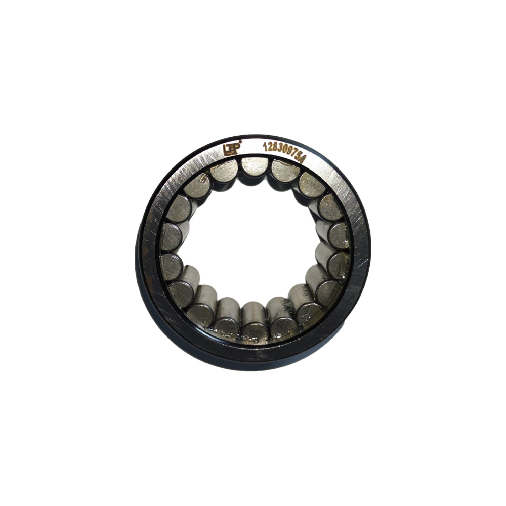 LTP 12830975A Bearing