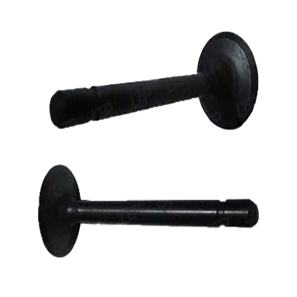 Inlet Valve 1G673-13110