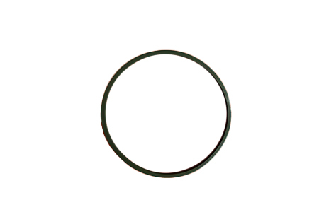 203-5957 D-RING SEAL