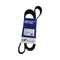 LTP brand 11005218A V-Ribbed Belt 11005218