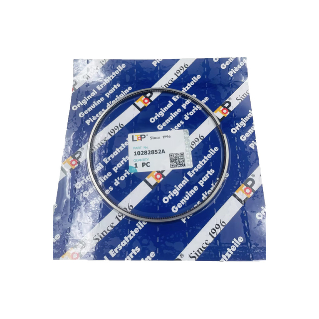 LTP Brand Piston Ring 10282852 10282852A for Liebherr