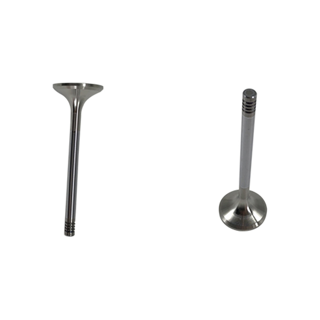 Liebherr 9882724 9882725 Intake And Exhaust Valves