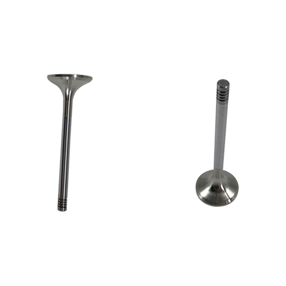 Liebherr 9882724 9882725 Intake And Exhaust Valves