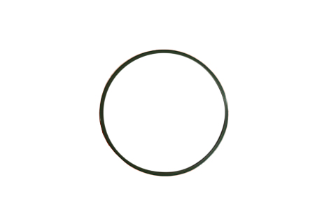203-5958 D-Ring Seal