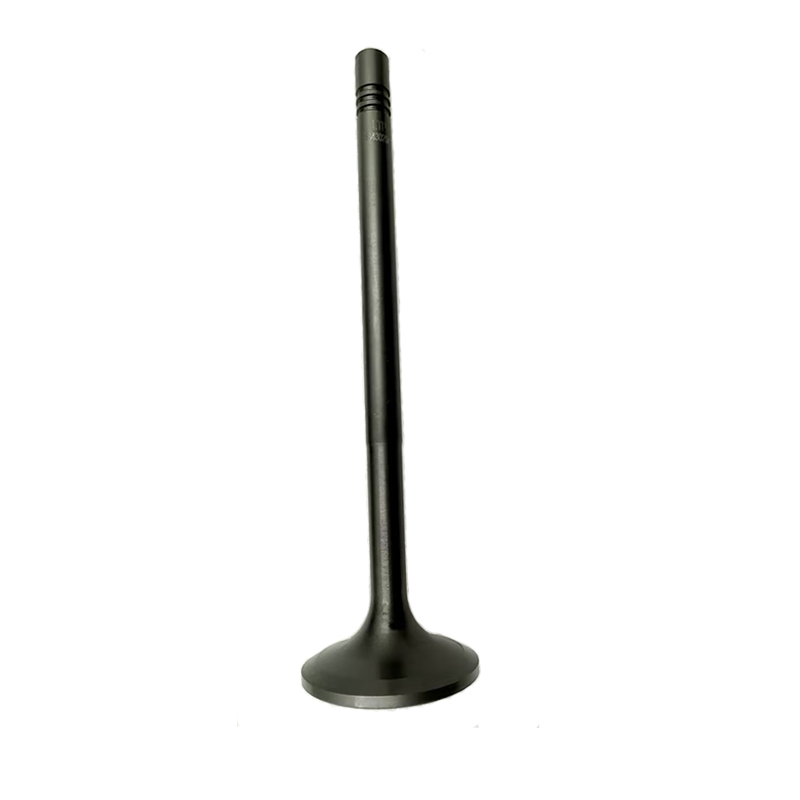 LTP Brand 12430204A Exhaust Valve For G9508-G9512 Engine